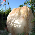 fiw2003-3